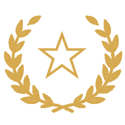 Gold laurel wreath encircling a gold outlined star, symbolizing achievement or award.